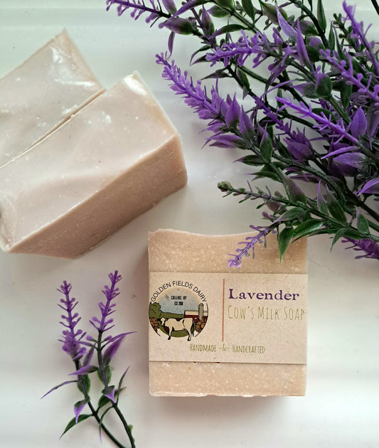 Lavender Cow's Milk Soap with Tallow
