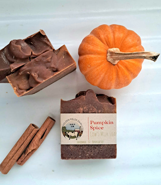 Pumpkin Spice Cow's Milk Soap