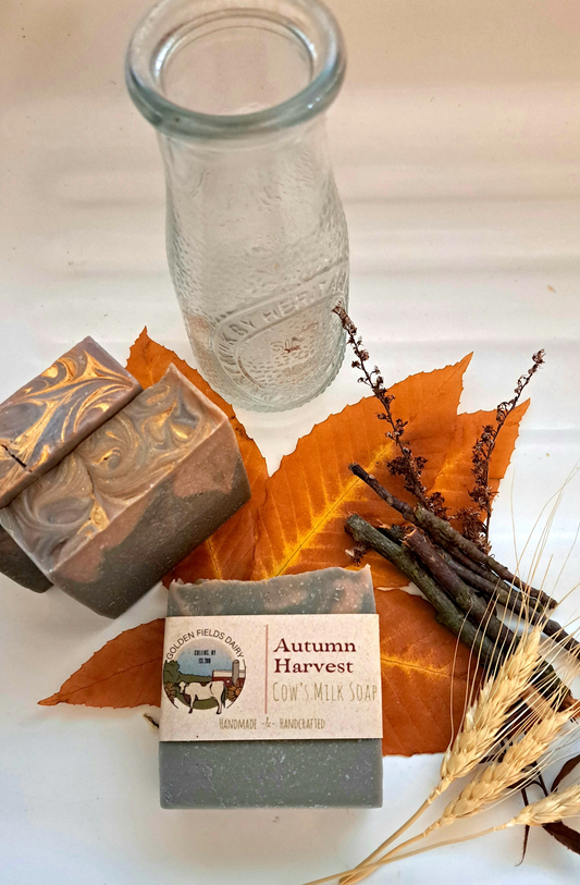 Autumn Harvest Cow's Milk Soap